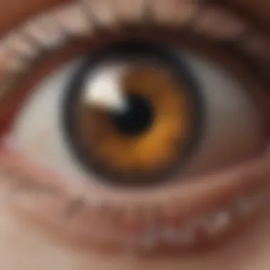 A magnified view showcasing the shimmering surface of an eye crystal