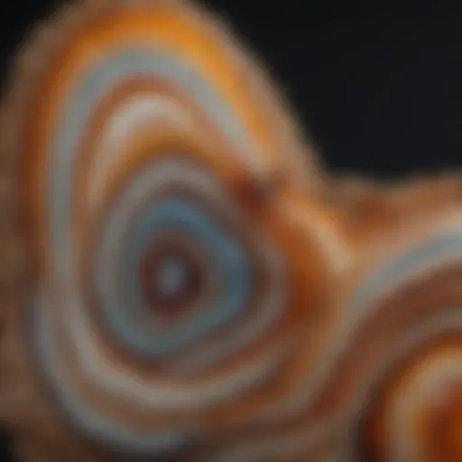 Close-up view of Fairburn agate showcasing its intricate patterns and colors