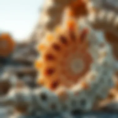 Fossil Decor: A Unique Fusion of Nature and Artistry Summary