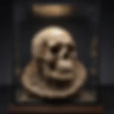 Preserved Fossil Display A well-preserved fossil specimen encased in a protective display box