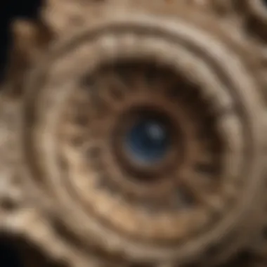 Close-up view of a fossil specimen with intricate details showcasing its age
