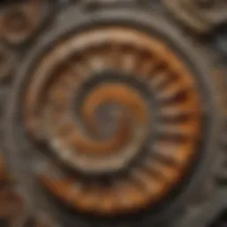 Mesmerizing Spiral Patterns of Fossilised Ammonite