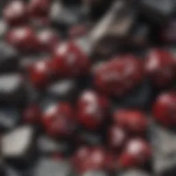 Garnet Crystals Embedded in Granite