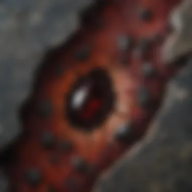 Garnet-Rich Granite Cross Section