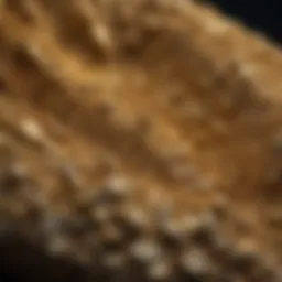Gleaming Treasures in Gold Paydirt