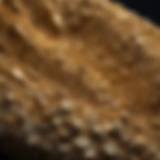 Gleaming Treasures in Gold Paydirt