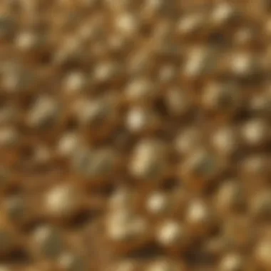 Glimmering gold nuggets found in unsearched paydirt