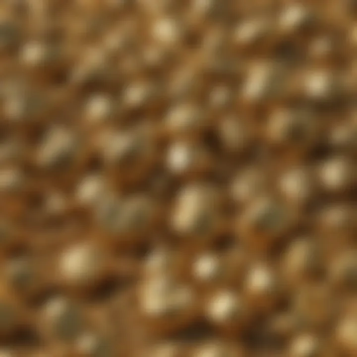 Glimmering gold nuggets found in unsearched paydirt