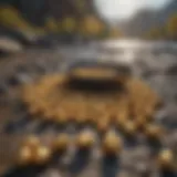 Golden nuggets in a riverbed