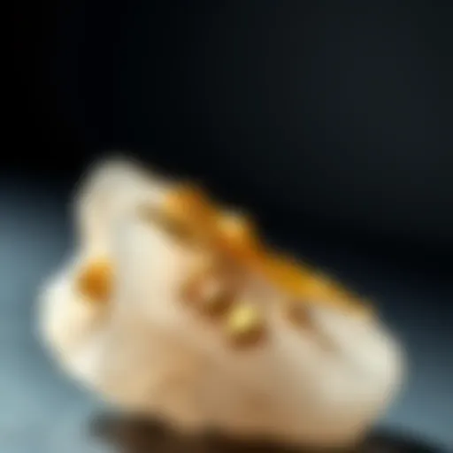 Gold on Quartz Specimen: A Comprehensive Exploration Introduction