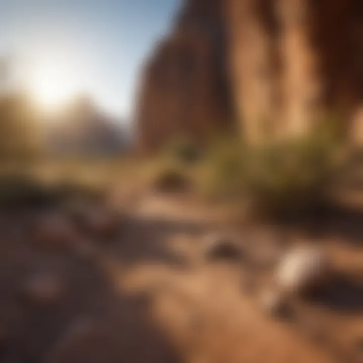 Scenic view of Arizona's gold-rich landscape