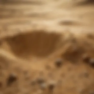 Golden Sands of Opportunity