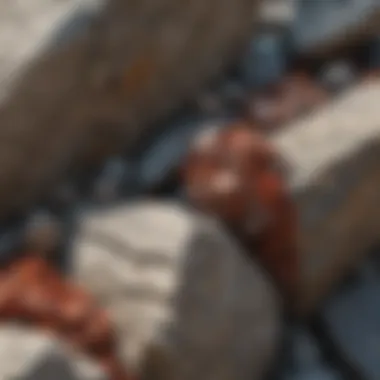 A close-up view of granite showcasing its mineral composition