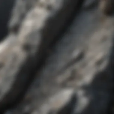 Close-up of intricate gray rock composition