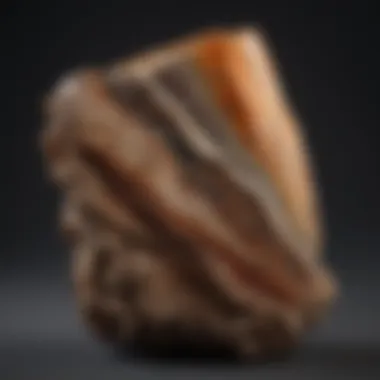 Textured Petrified Wood Piece
