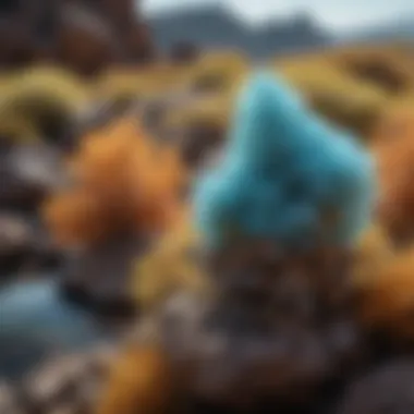 Hemimorphite in Natural Habitat