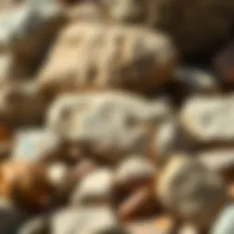 A beautifully polished rock collection