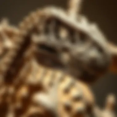 Notable How to Find Dinosaur Fossils: A Comprehensive Guide