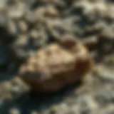How to Identify a Rock You Found Introduction