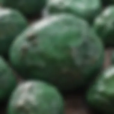 Magnified image highlighting the internal characteristics of an opaque green stone.