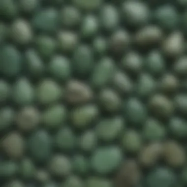 A comparison chart displaying different varieties of opaque green stones.