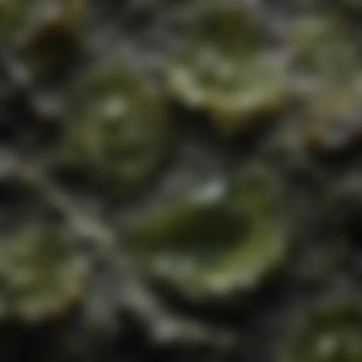 Close-up of genuine moldavite showcasing its unique texture and color