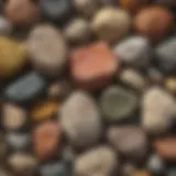 A close-up view of various rock samples showcasing different textures and colors.