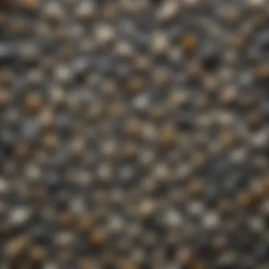 Diverse collection of shark teeth displayed on a surface.