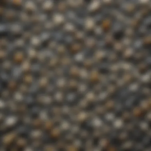 Diverse collection of shark teeth displayed on a surface.
