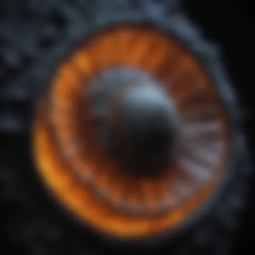 Illuminated Fossil Under Black Light