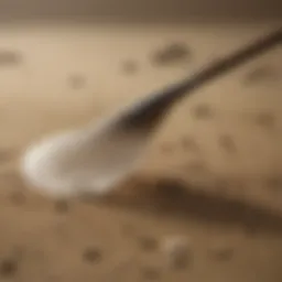Innovative sand flea rake design