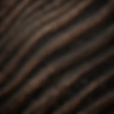Close-up detail of intricate brown lines on black crystal