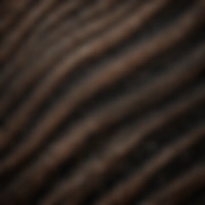 Close-up detail of intricate brown lines on black crystal
