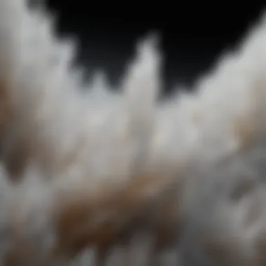 Close-up of intricate selenite crystal formation