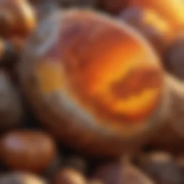 Fiery Sunset Jasper
