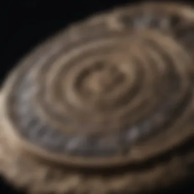 Intricate design being created on a fossil with a jewellers saw frame