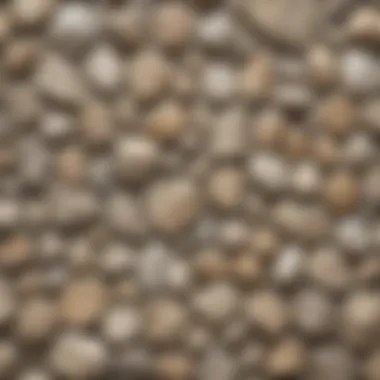 Elegant display of talc-treated fossil collection