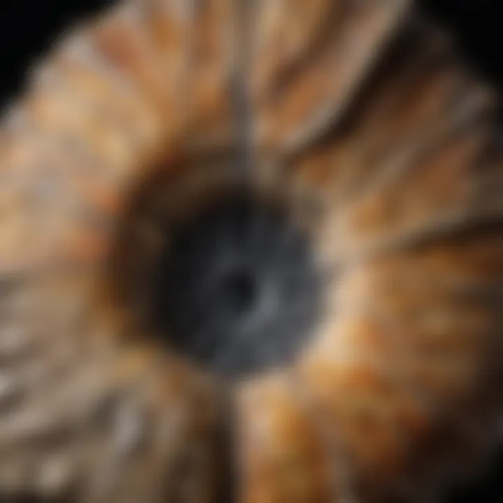 Detailed close-up of a fossil being meticulously preserved through drip techniques