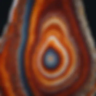 Agate Elegance Vibrant Agate Slice with Intricate Patterns