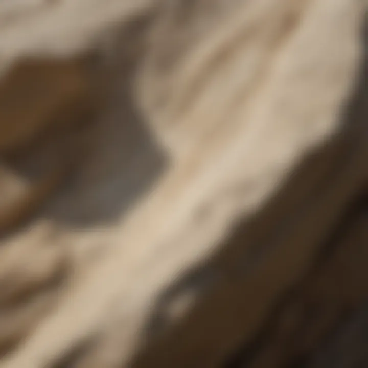 Limestone Significance: The Elegance of a Rock