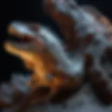 Luminous Fossils Illuminated by Blacklight