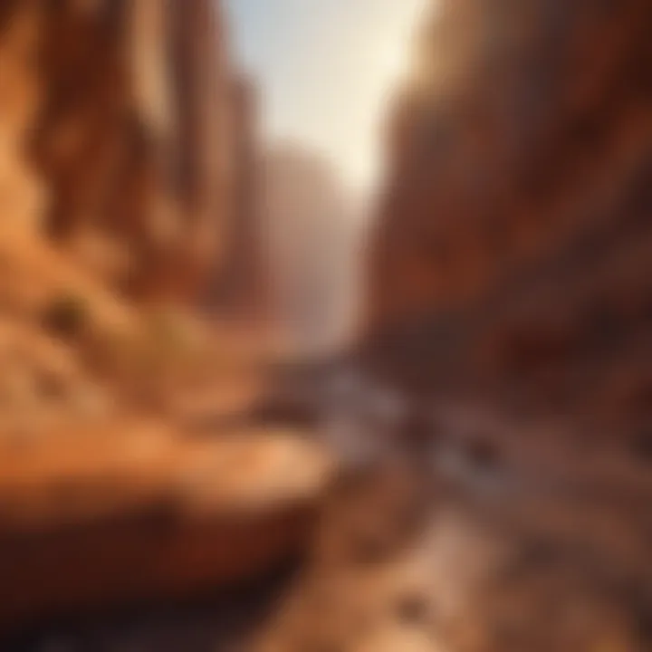 A panoramic view of a majestic orange sandstone canyon