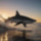 Majestic Shark Silhouette