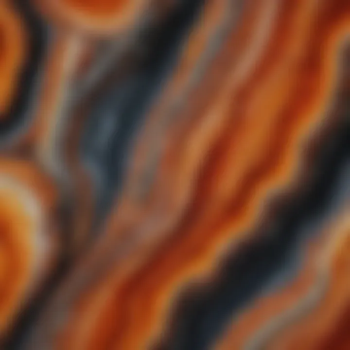 Mesmerizing Agate Patterns