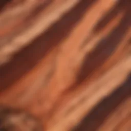 Mesmerizing Patterns in Red Rock Layers