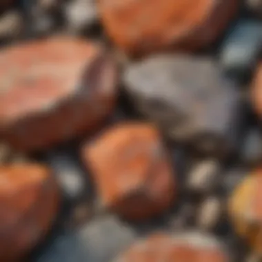 Close-up of a striking metamorphic rock showcasing vibrant mineral patterns