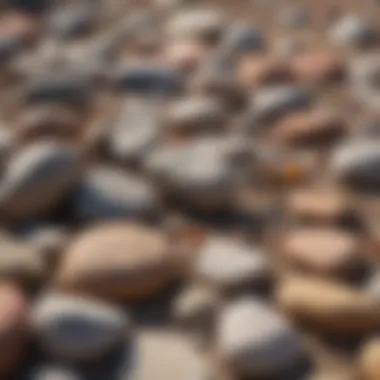 A field guide for rock identification lying on a bed of assorted stones.