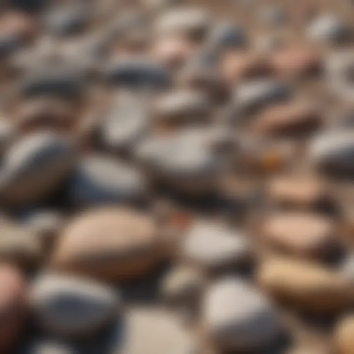 A field guide for rock identification lying on a bed of assorted stones.