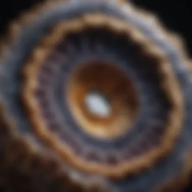 Close-up view of a unique Moroccan geode with intricate details