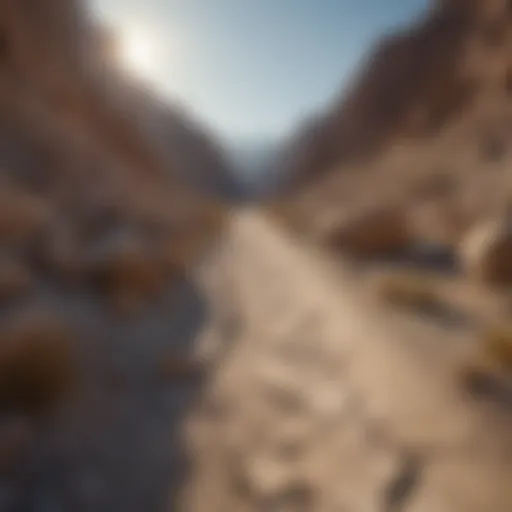 Mysterious Rock Trails in Death Valley